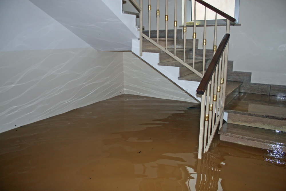 Sewage Cleanup in Brentwood, TN, 37024, Williamson County (2251)
