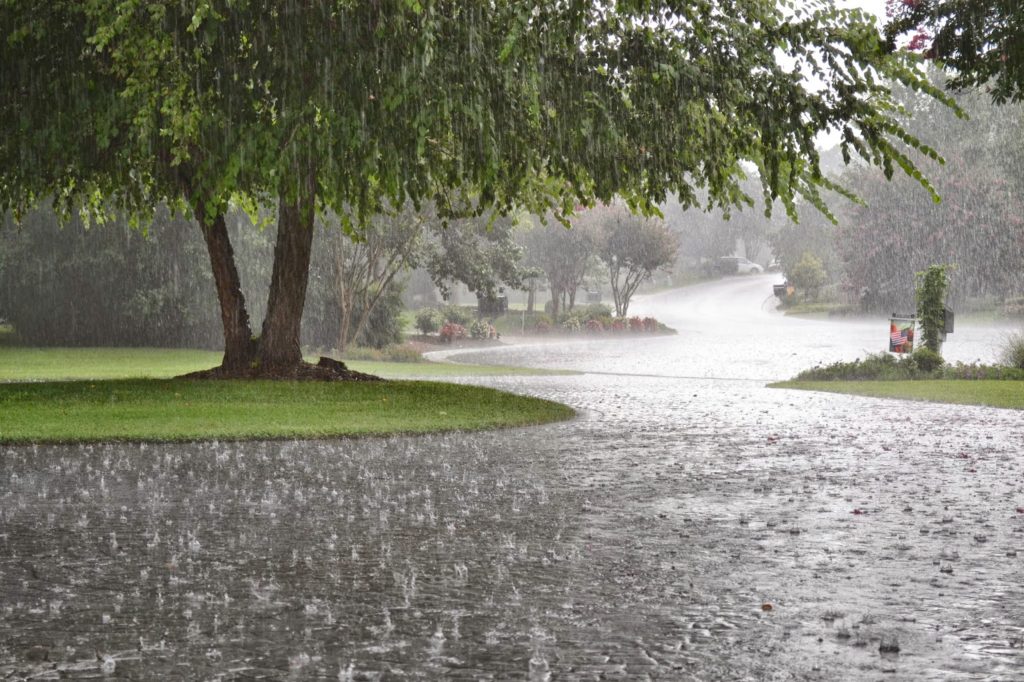 Flood Restoration in Mount Juliet, TN, 37121, Wilson County (185)