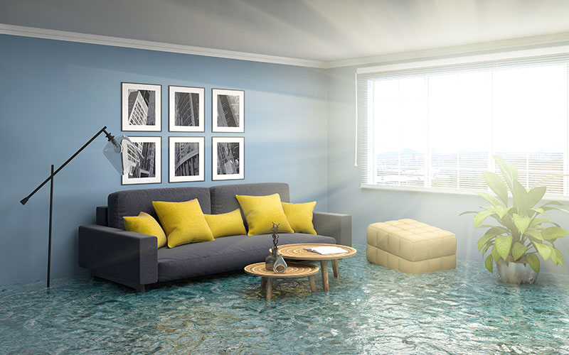 Flood Cleanup in Gallatin, TN, 37066, Sumner County (2905)