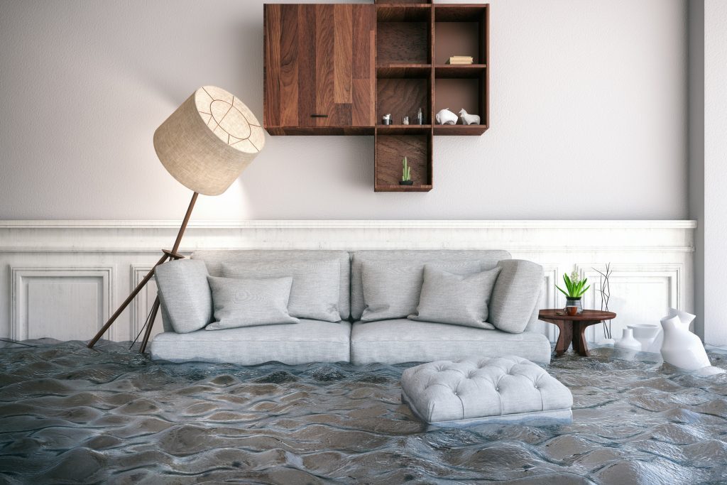 Water Damage Restoration in Pleasant View, TN, 37015, Cheatham County (5154)