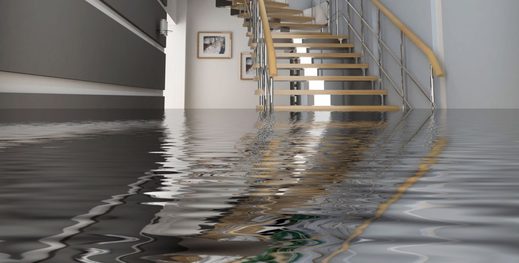 Flood Damage Cleanup in Mount Juliet, TN, 37121, Wilson County (1793)