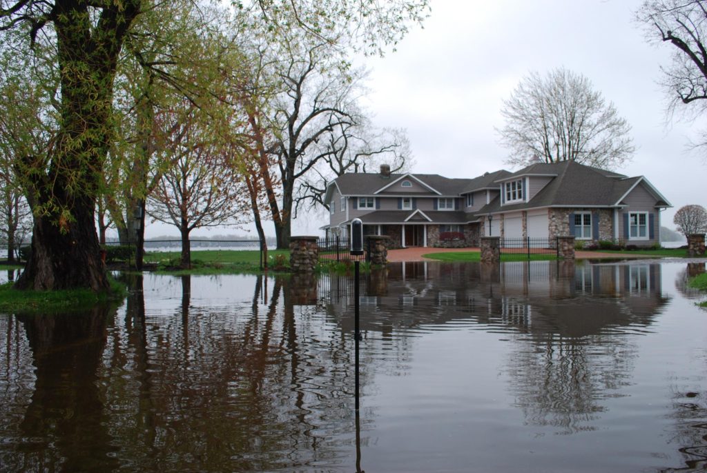 Water Damage Restoration in Pegram, TN, 37082, Cheatham County (1648)