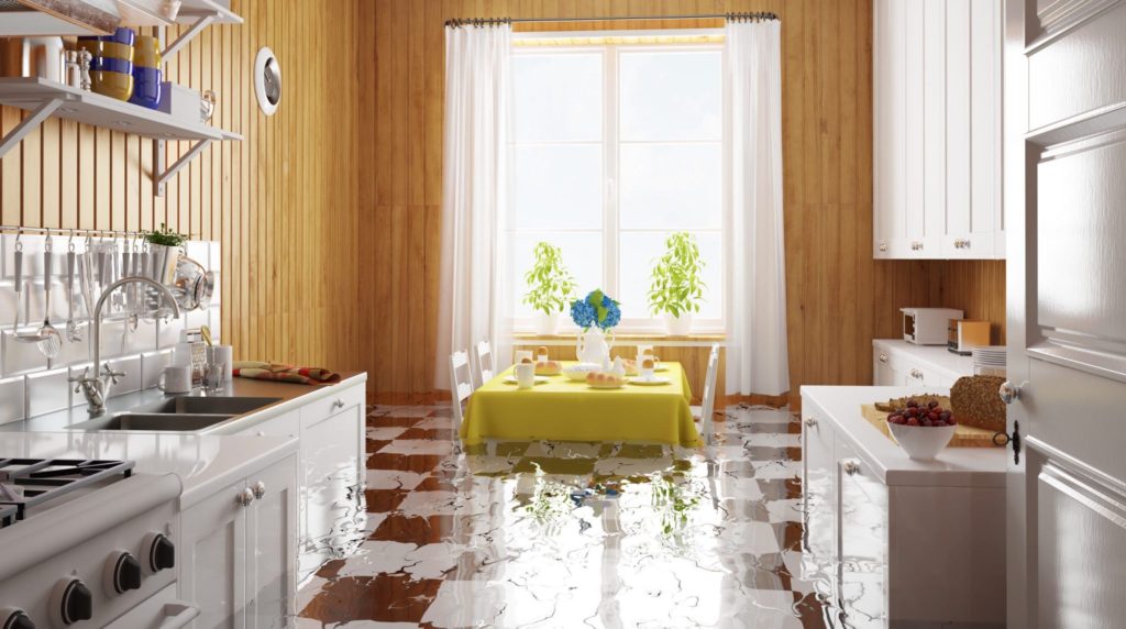 Water Damage Restoration in Lebanon, TN, 37087, Wilson County (2831)