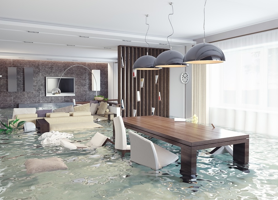 Water Damage Cleanup in Pleasant View, TN, 37015, Cheatham County (5631)