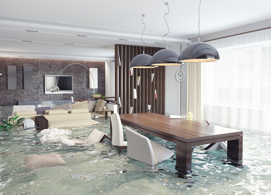 Water Damage Cleanup in Pleasant View, TN, 37015, Cheatham County (6972)