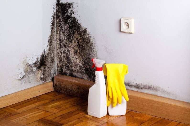 Mold Damage Repairs in Pleasant View, TN (984)