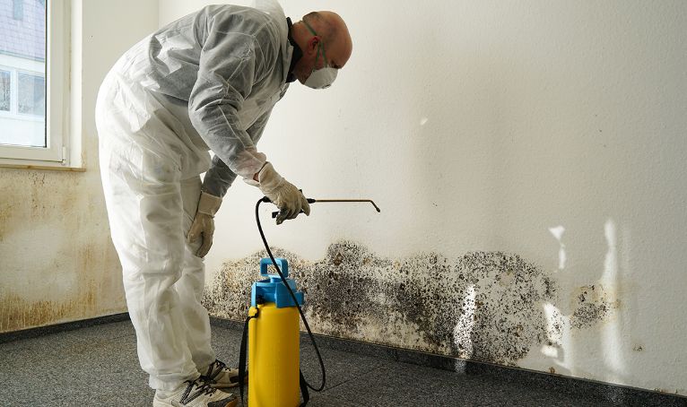 Mold Damage Removal in Pegram, TN (725)